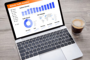 seo analyse